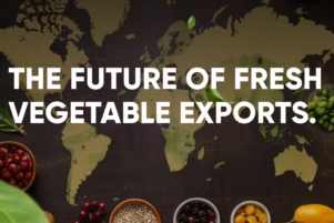 Vegetable exports