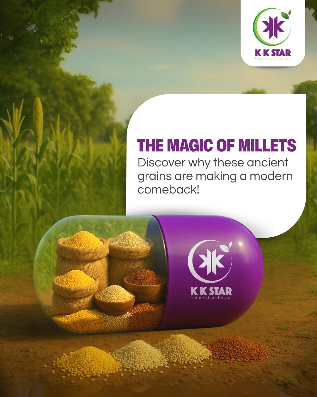 KK Star Millet Exporter
