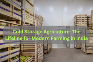Cold Storage Agriculture