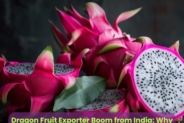 Dragon Fruit Exporter