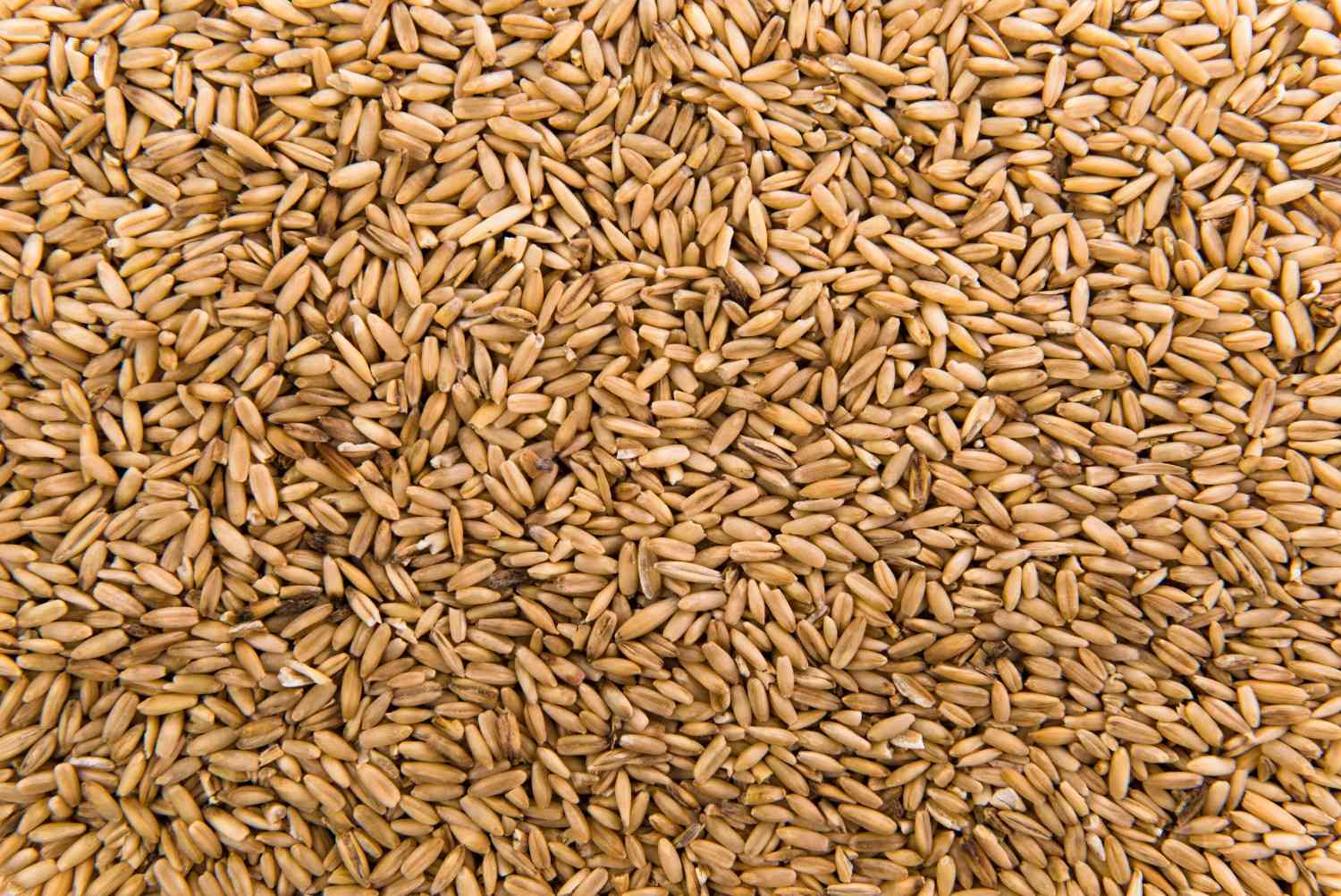 oats-peeled