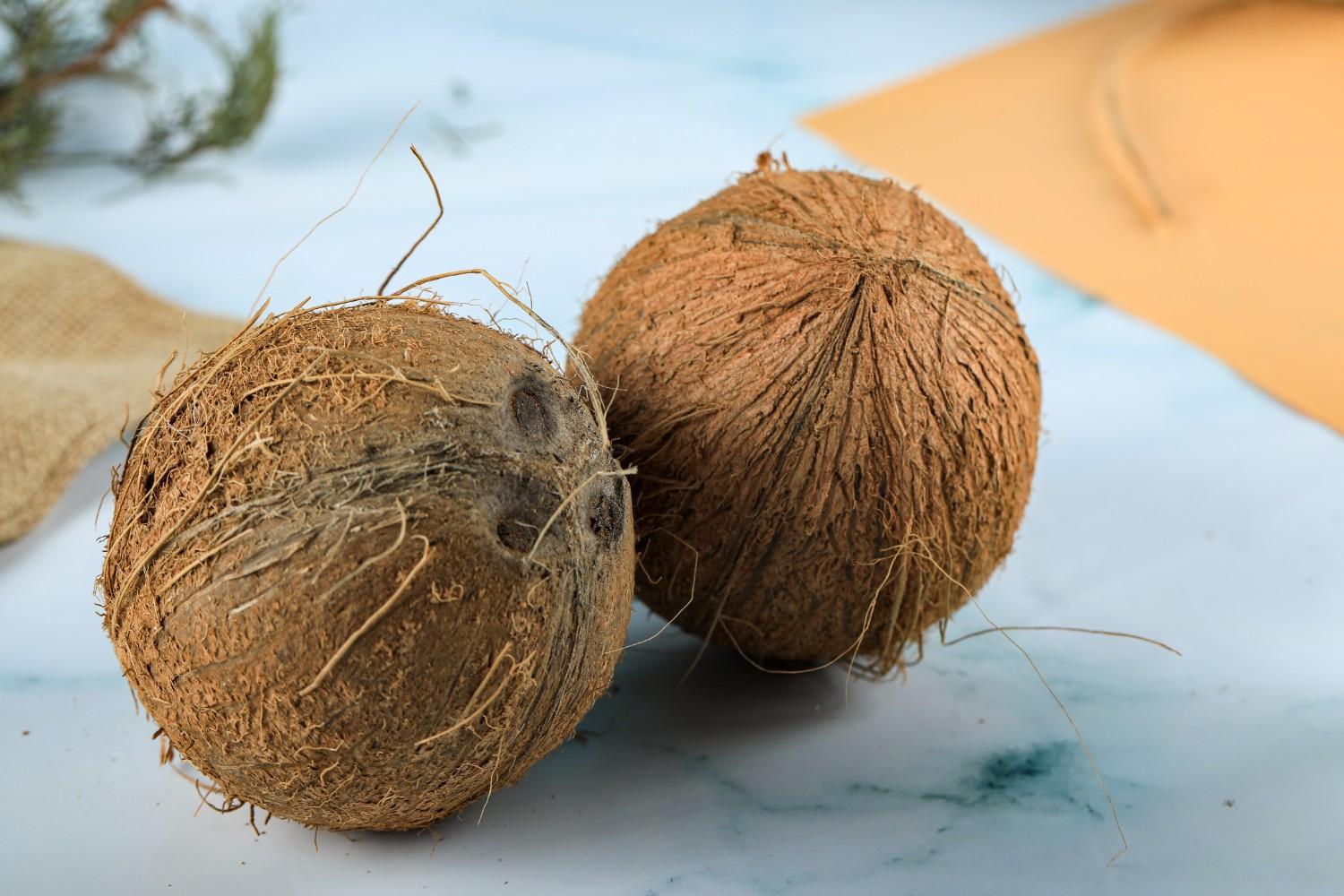 whole-brown-hairy-tropical-coconut